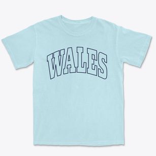 Wales Utah Trendy Block Premium Heavyweight T-shirt