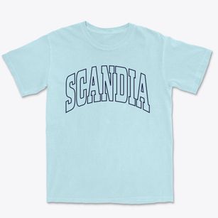 Scandia Kansas Trendy Block Premium Heavyweight T-shirt
