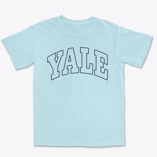 Yale South Dakota Trendy Block Premium Heavyweight T-shirt