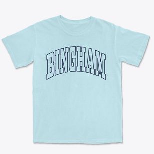 Bingham Illinois Trendy Block Premium Heavyweight T-shirt
