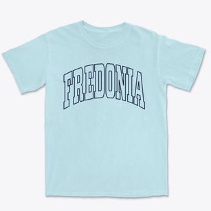 Fredonia New York Trendy Block Premium Heavyweight T-shirt