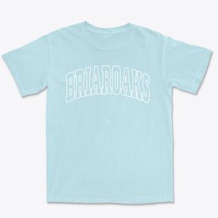 Briaroaks Texas Trendy Block Premium Heavyweight T-shirt