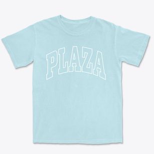 Plaza North Dakota Trendy Block Premium Heavyweight T-shirt