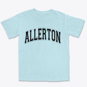 Allerton Iowa Varsity Premium Heavyweight T-shirt