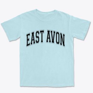 East Avon New York Varsity Premium Heavyweight T-shirt