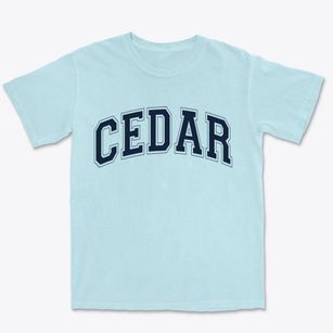 Cedar Michigan Varsity Premium Heavyweight T-shirt