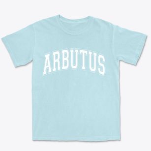 Arbutus Maryland Varsity Premium Heavyweight T-shirt