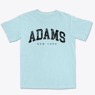 Adams New York Urban Vibe Premium Heavyweight T-shirt