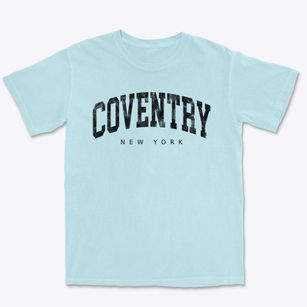 Coventry New York Urban Vibe Premium Heavyweight T-shirt