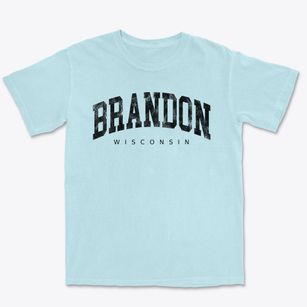 Brandon Wisconsin Urban Vibe Premium Heavyweight T-shirt