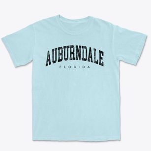 Auburndale Florida Urban Vibe Premium Heavyweight T-shirt