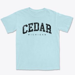 Cedar Michigan Urban Vibe Premium Heavyweight T-shirt