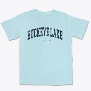 Buckeye Lake Ohio Urban Vibe Premium Heavyweight T-shirt