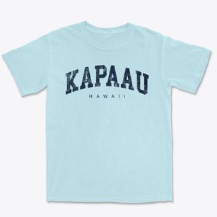 Kapaau Hawaii Urban Vibe Premium Heavyweight T-shirt