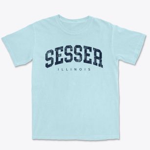 Sesser Illinois Urban Vibe Premium Heavyweight T-shirt