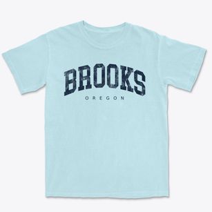 Brooks Oregon Urban Vibe Premium Heavyweight T-shirt
