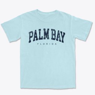 Palm Bay Florida Urban Vibe Premium Heavyweight T-shirt
