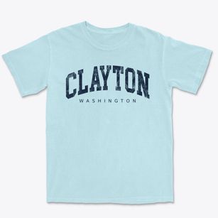 Clayton Washington Urban Vibe Premium Heavyweight T-shirt