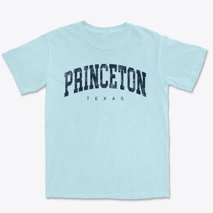 Princeton Texas Urban Vibe Premium Heavyweight T-shirt