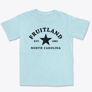 Fruitland North Carolina Star Premium Heavyweight T-shirt
