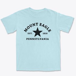 Mount Eagle Pennsylvania Star Premium Heavyweight T-shirt