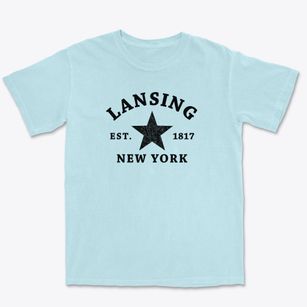 Lansing New York Star Premium Heavyweight T-shirt