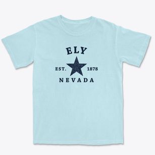 Ely Nevada Star Premium Heavyweight T-shirt