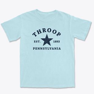 Throop Pennsylvania Star Premium Heavyweight T-shirt