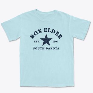 Box Elder South Dakota Star Premium Heavyweight T-shirt