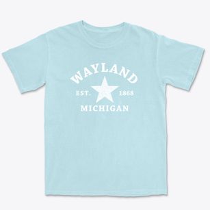 Wayland Michigan Star Premium Heavyweight T-shirt