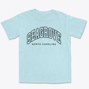 Seagrove North Carolina Inline Premium Heavyweight T-shirt