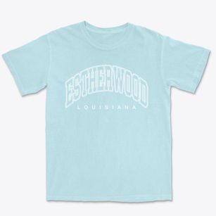 Estherwood Louisiana Inline Premium Heavyweight T-shirt