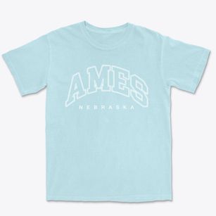 Ames Nebraska Inline Premium Heavyweight T-shirt