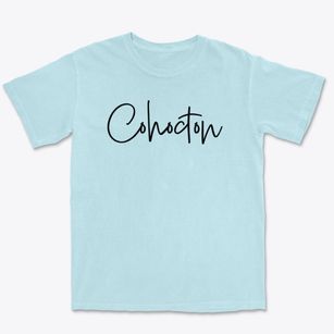 Cohocton New York Freestyle Premium Heavyweight T-shirt