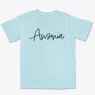 Ansonia Connecticut Freestyle Premium Heavyweight T-shirt