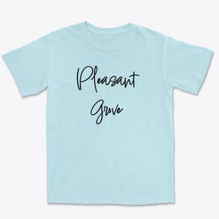 Pleasant Grove Alabama Freestyle Premium Heavyweight T-shirt