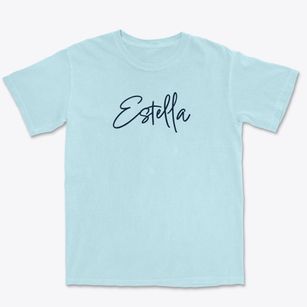 Estella Wisconsin Freestyle Premium Heavyweight T-shirt