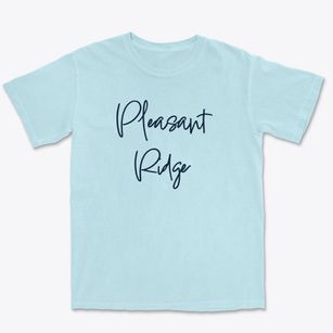 Pleasant Ridge North Carolina Freestyle Premium Heavyweight T-shirt