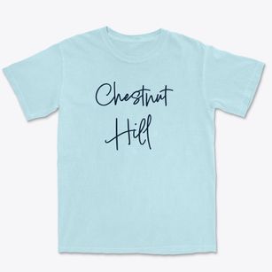 Chestnut Hill Virginia Freestyle Premium Heavyweight T-shirt