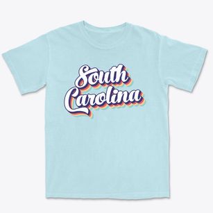  South Carolina Retro Candy Vibes Premium Heavyweight T-shirt