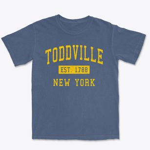 Toddville New York Classic Established Premium Heavyweight T-shirt