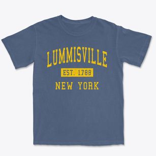 Lummisville New York Classic Established Premium Heavyweight T-shirt