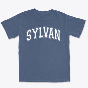 Sylvan Middle School Varsity Arch Premium Heavyweight T-shirt
