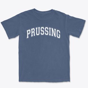 Prussing Elementary School Varsity Arch Premium Heavyweight T-shirt