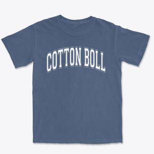 Cotton Boll Elementary School Varsity Arch Premium Heavyweight T-shirt