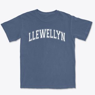Llewellyn Elementary School Varsity Arch Premium Heavyweight T-shirt