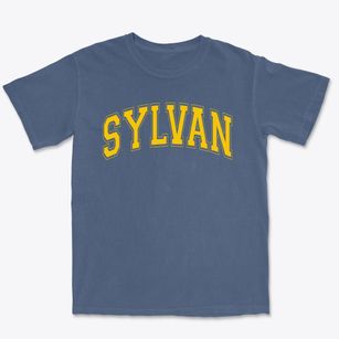 Sylvan Elementary School Varsity Arch Premium Heavyweight T-shirt