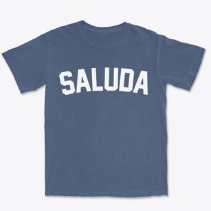 Saluda Virginia Classic Curve Premium Heavyweight T-shirt