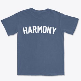 Harmony New Jersey Classic Curve Premium Heavyweight T-shirt