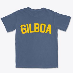 Gilboa New York Classic Curve Premium Heavyweight T-shirt